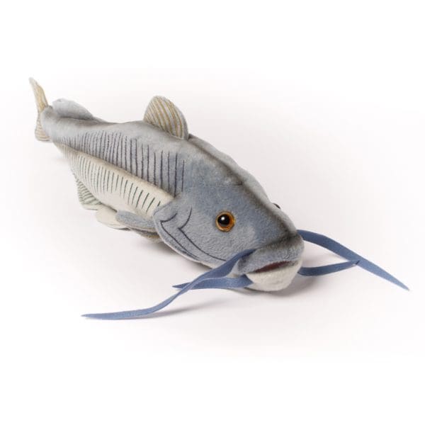 Cabin Critters | キャビンクリッターズ - ブルーキャットフィッシュ