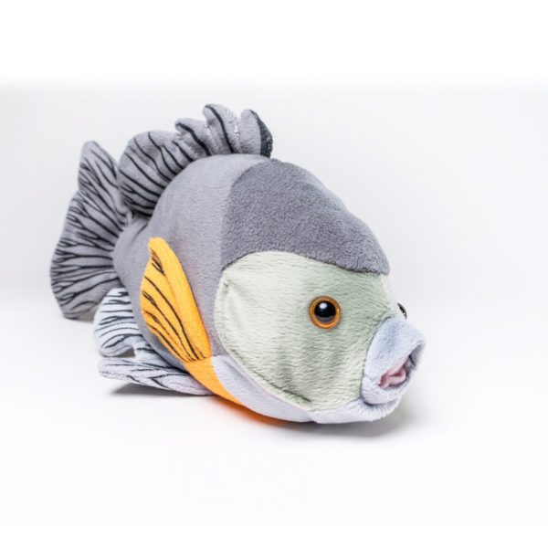 ProductShots_bluegill1 Cabin Critters | キャビンクリッターズ - ブルーギル