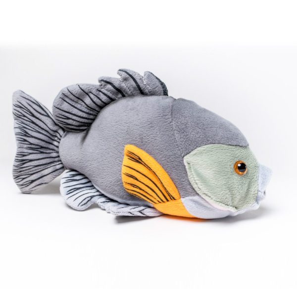 ProductShots_bluegill2 Cabin Critters | キャビンクリッターズ - ブルーギル