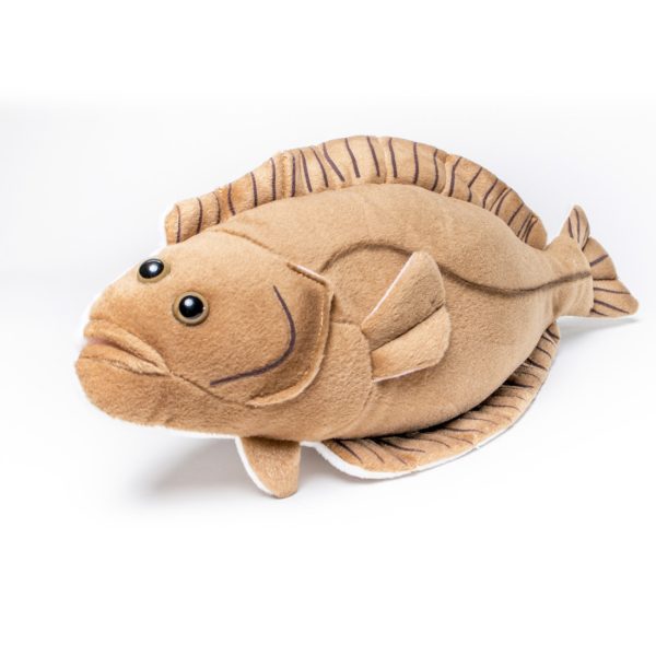 ProductShots_halibut1- Cabin Critters | キャビンクリッターズ - ヒラメ