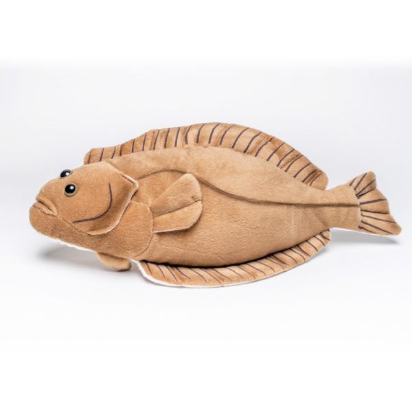 ProductShots_halibut2 Cabin Critters | キャビンクリッターズ - ヒラメ