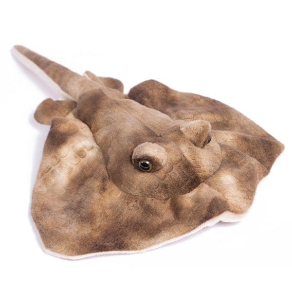 Cabin Critters | キャビンクリッターズ - アカエイ