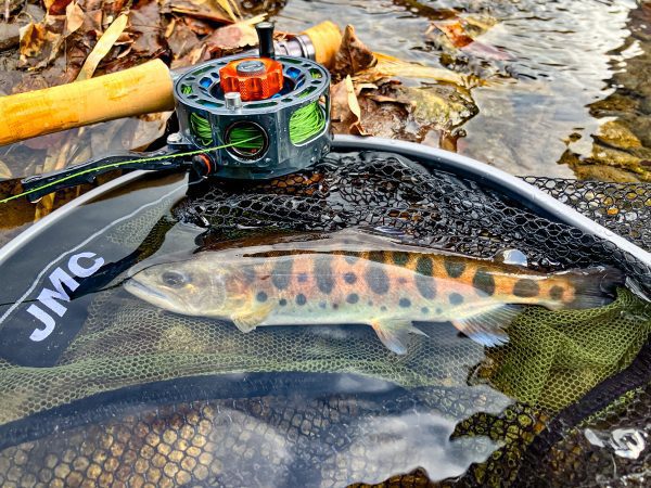 IMG_3800 Trout Fly Fishing Trip Near Tokyo - Reservation Ticket