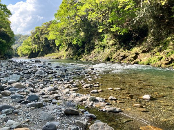 IMG_8406 Trout Fly Fishing Trip Near Tokyo - Reservation Ticket