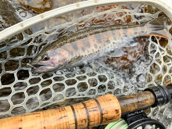 Fly Fishing Guide Trip - River Fishing Reservation Ticket