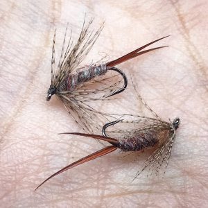 87BD2B9E-7DC7-4FFD-AD80-F672EE41CFC7