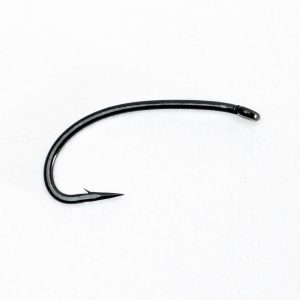 ケンサワダ | Ken Sawada - TD7 ブラックセッジ