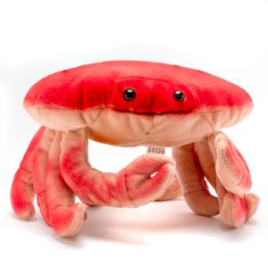 Cabin Critters | キャビンクリッターズ - ダンジネスクラブ