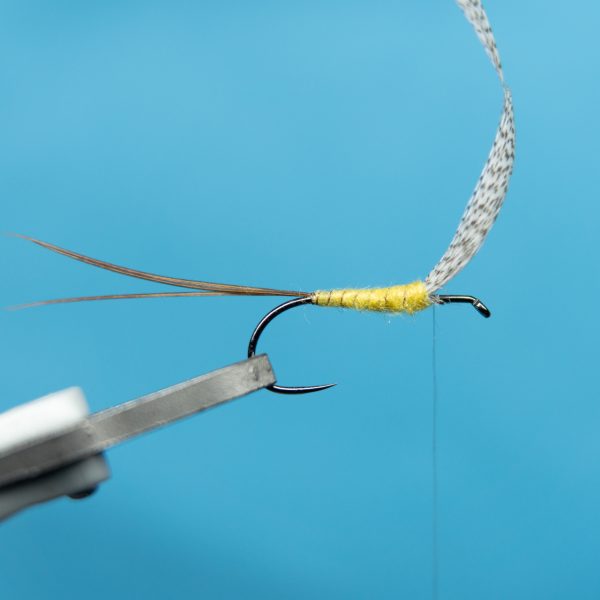 Cottarelli | コッタレッリ - レオンヘッド