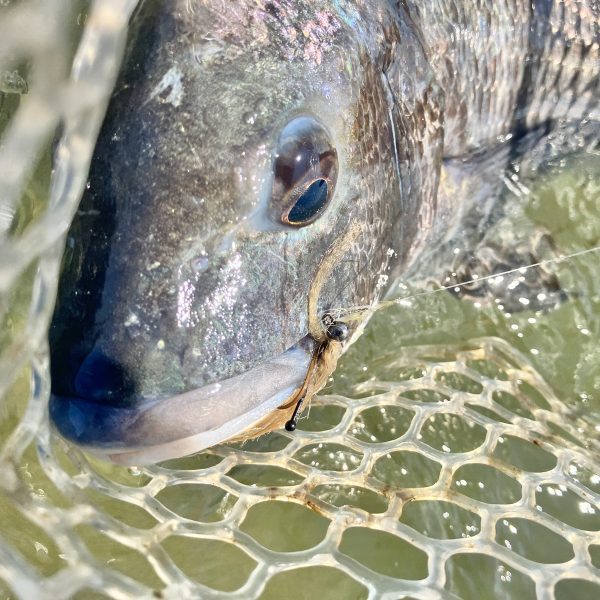 ドヒーク | Dohiku - 競技用バーブレス ジグフック HDJ