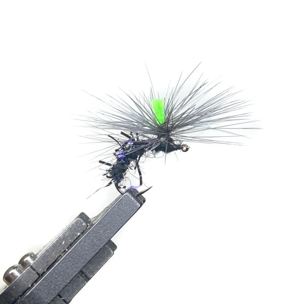 IMG_7920 テックストリーム | Textreme - ブリルUV