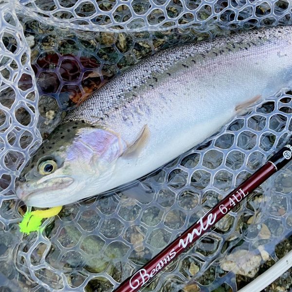 410031304_10161200867264322_636229988610166241_n Fly Campers - Moffy Micro Mop Chenille