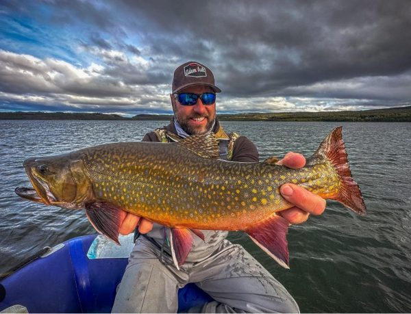 モニック | Monic - ヘンレー クリアーインターミディエイト【WFシンキング・透明フライライン】