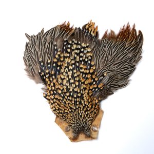 S1 フェザーアンドフライ | Feather & Fly - ハックルケープ:ジャングルコック