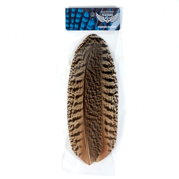 _DSC6862 フェザーアンドフライ | Feather & Fly - ピーコック クイル L: セレクト1ペア