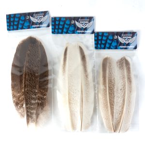 _DSC6876 フェザーアンドフライ | Feather & Fly - ターキーセカンダリークイル: セレクト2ペア