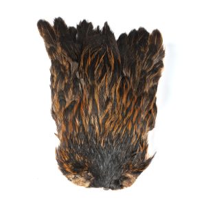 _DSC7166 フェザーアンドフライ | Feather & Fly - ハックル:インドヘンネック