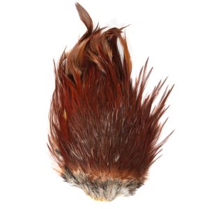 _DSC7167 フェザーアンドフライ | Feather & Fly - ハックル:インドコックサドル