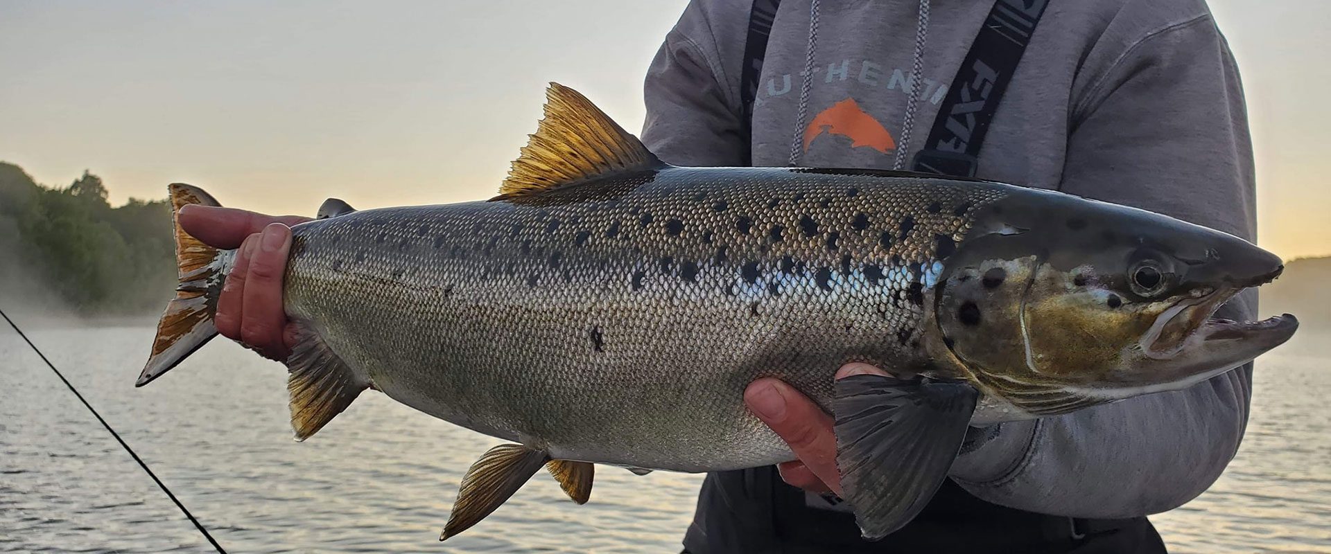 flyfishing_themes_streamerslinger1