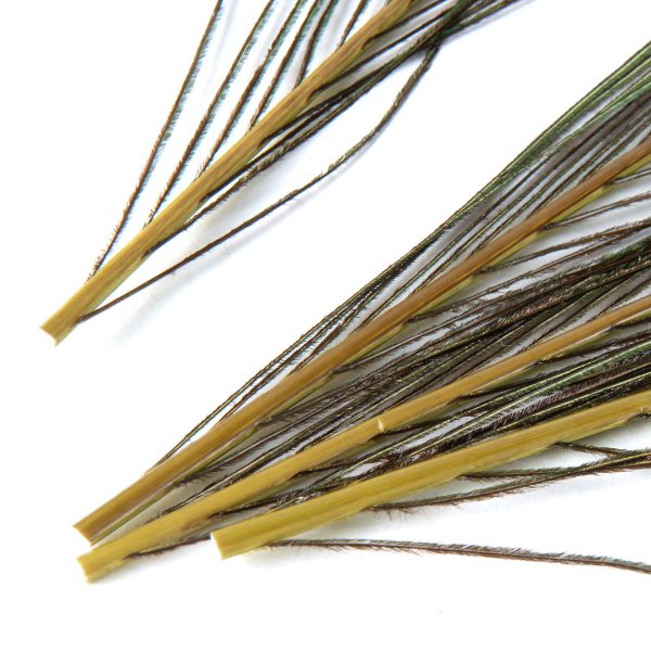 _DSC7004 フェザーアンドフライ | Feather & Fly - ピーコックアイ: Sサイズ 4本セット