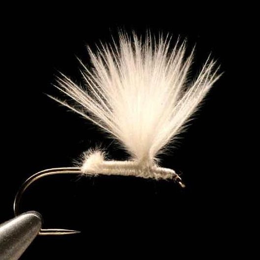 フェザーアンドフライ | Feather & Fly - チキン CDC (Cul De Coq)