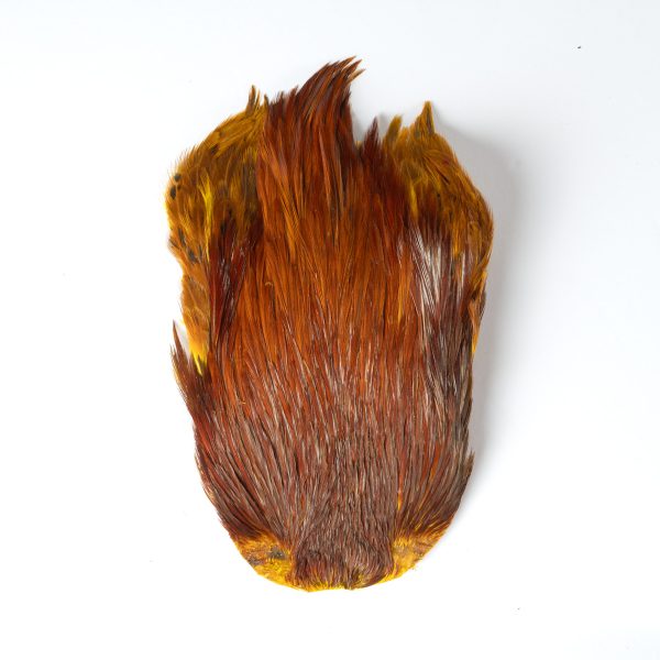 Yellowbrown_DSC7095 フェザーアンドフライ | Feather & Fly - ハックル:インドコックネック