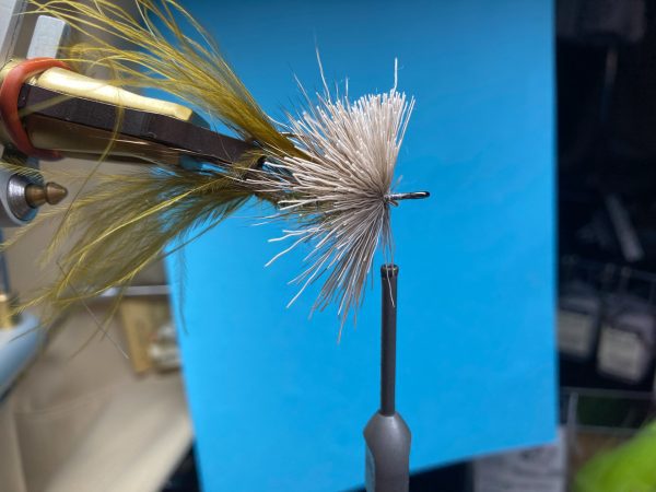 20230118-6 ムーシュ・ド・シャレット | Mouches de Charette - エルクヘア