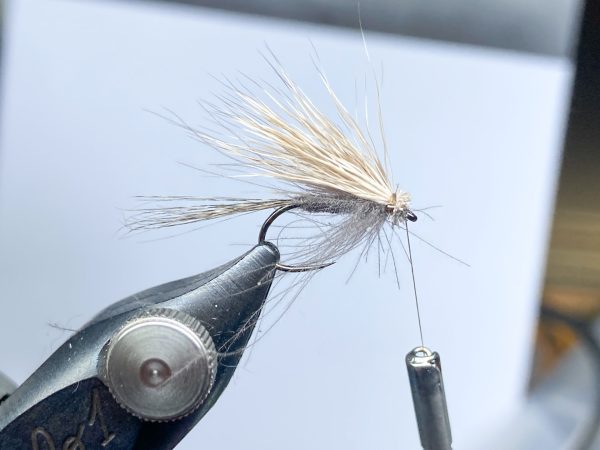 20230612-11 ムーシュ・ド・シャレット | Mouches de Charette - エルクヘア