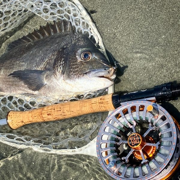 モニック | Monic - アドバンスド クリアープラス 【WFフローティング・サイトフィッシング用・透明フライライン】