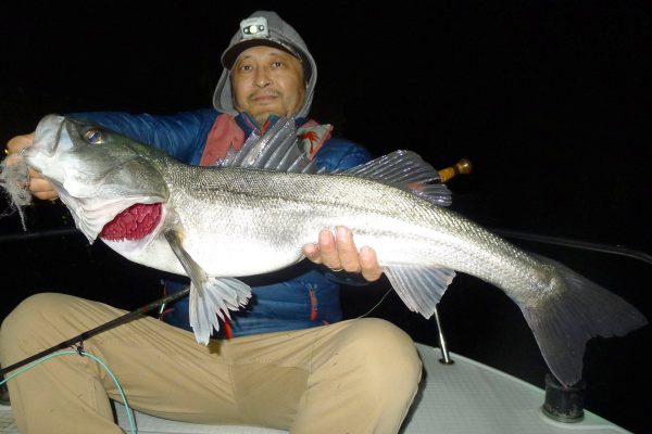 モニック | Monic - GSP フローティング シューティング/ランニングライン【GSPノンストレッチ・50lb/70lbコア】