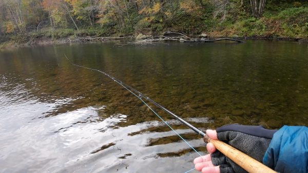 モニック | Monic - GSP フローティング シューティング/ランニングライン【GSPノンストレッチ・50lb/70lbコア】