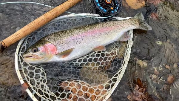 モニック | Monic - GSP フローティング シューティング/ランニングライン【GSPノンストレッチ・50lb/70lbコア】