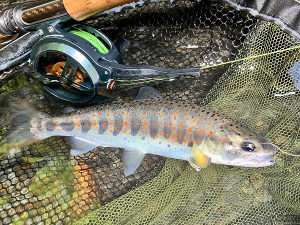 JMC - YOTO Nymph セミオートフライリール