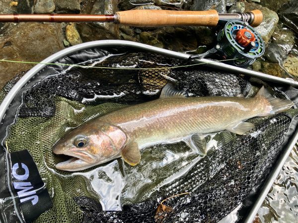 JMC - YOTO Nymph セミオートフライリール