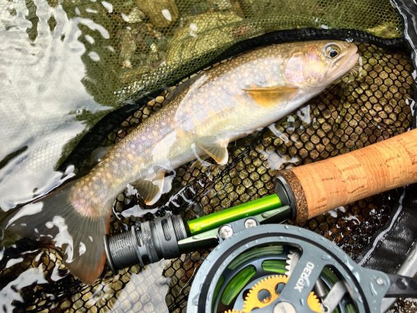 JMC - YOTO XPR セミオートフライリール WF/DT/LVライン用