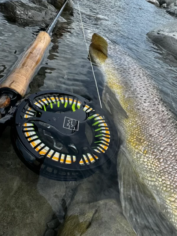 JMC - Equinox | イキノックス -  アンチリバース ハイギア フライリール