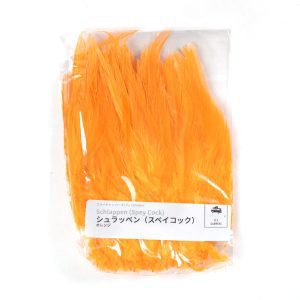 _DSC8324 フライキャンパーズ | Fly Campers - シュラッペン(スペイコック)