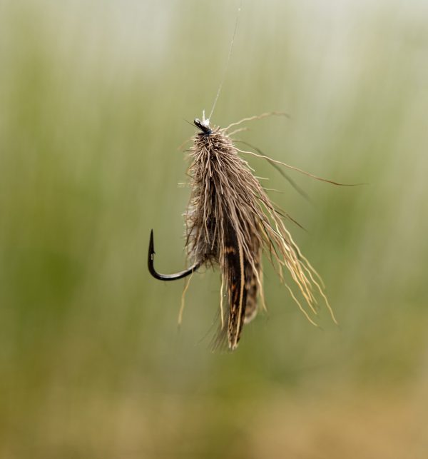 ホットフライ | Hot Fly - ディアヘアダビング イタリアーノ